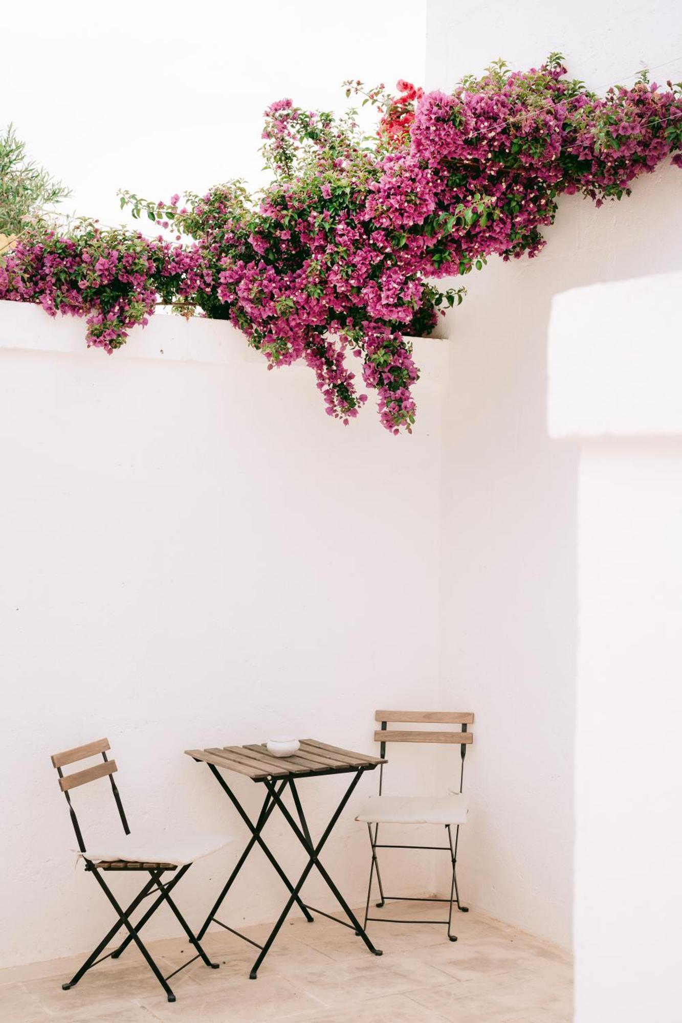 Oltre Gli Ulivi Bed & Breakfast Ostuni Ngoại thất bức ảnh