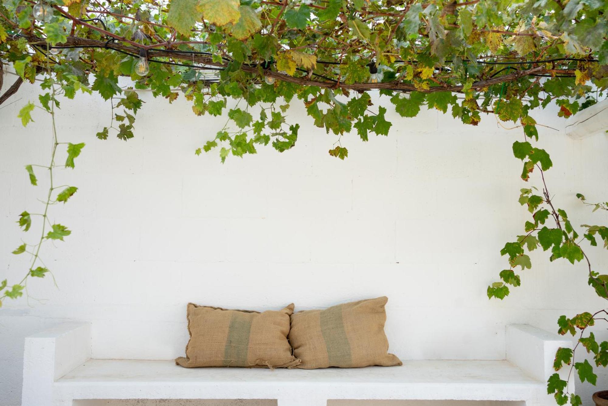 Oltre Gli Ulivi Bed & Breakfast Ostuni Ngoại thất bức ảnh