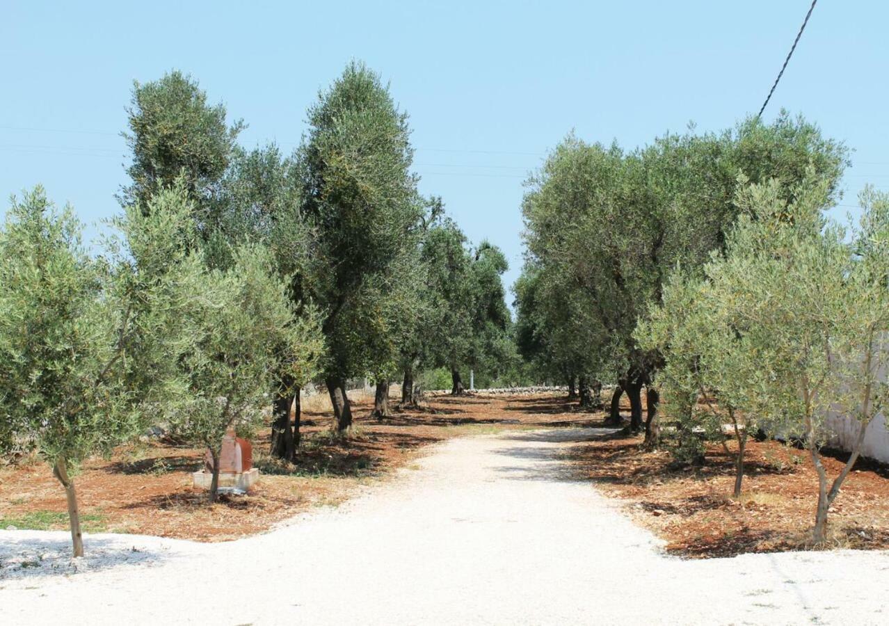 Oltre Gli Ulivi Bed & Breakfast Ostuni Ngoại thất bức ảnh